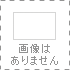 adidas@AfB_X@T}[g[g@tFAEFC/T